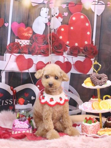 20250219ノアちゃん